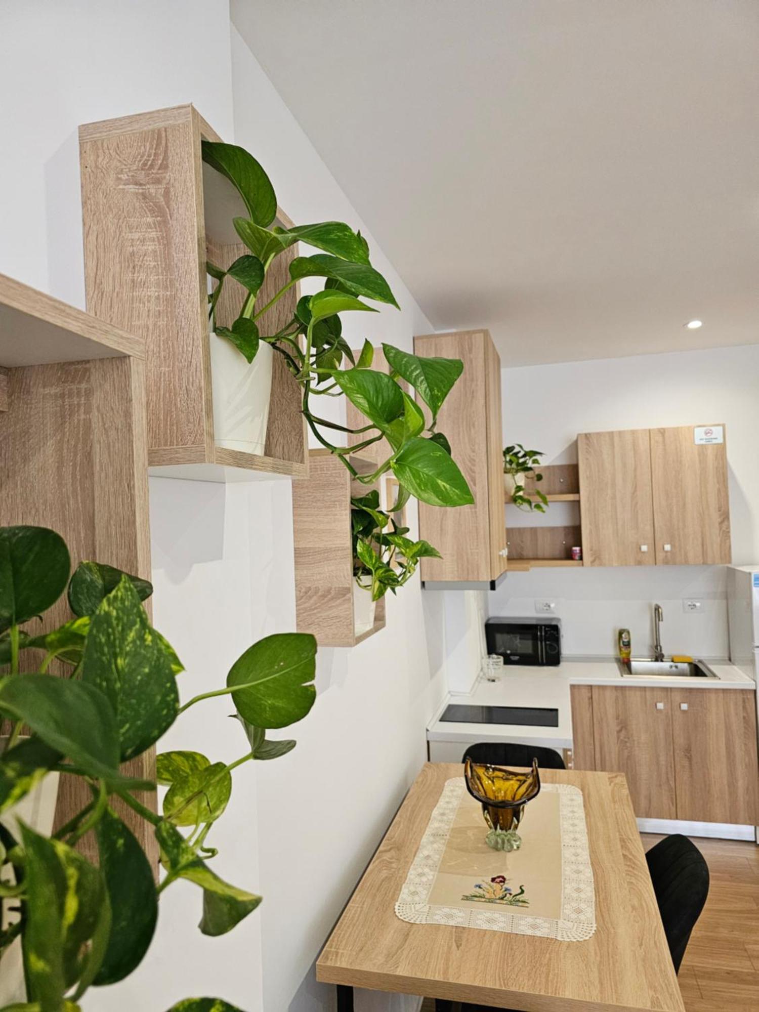 Apartment'S City Center Aquilo Tirana Exterior photo